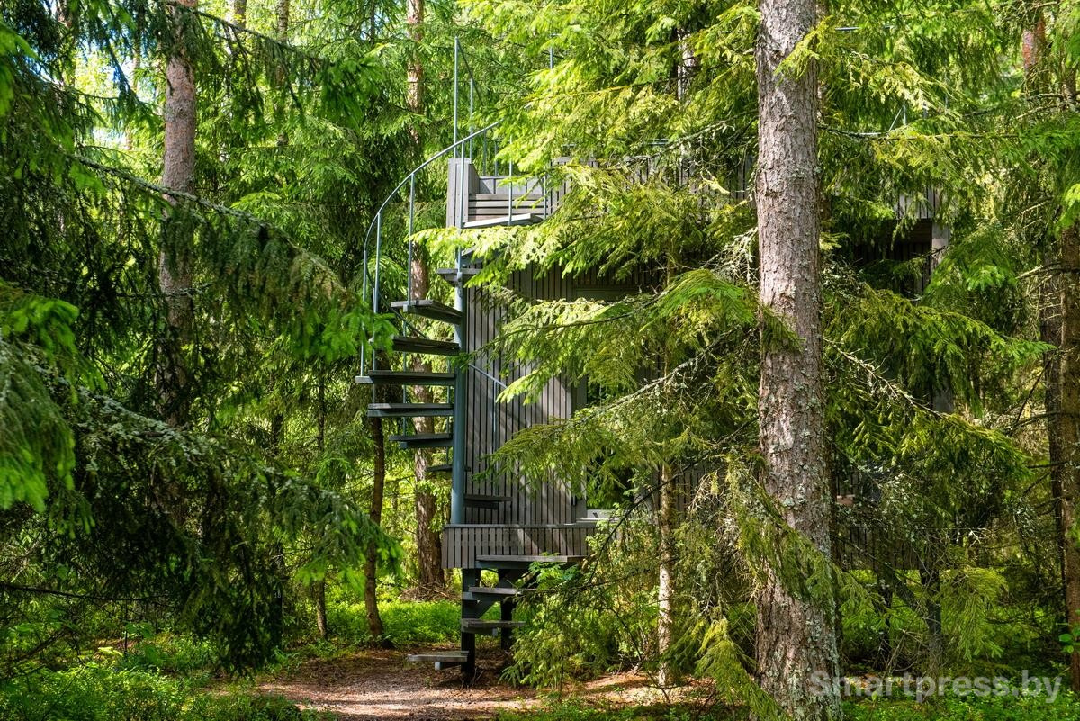 12-На территории ретрит-отеля Dzen forest.jpg