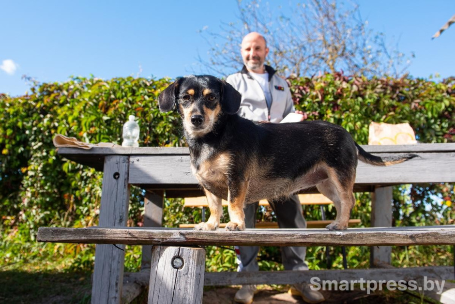 16-Айка главный дегустатор.jpg