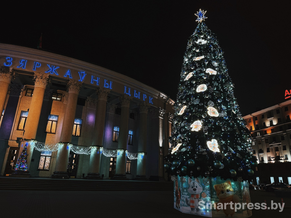 елка у цирка