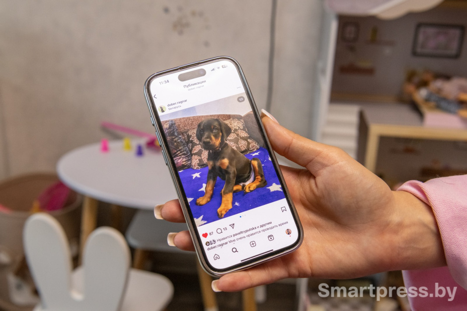 4-Фото Рагнара когда он был щенком.jpg