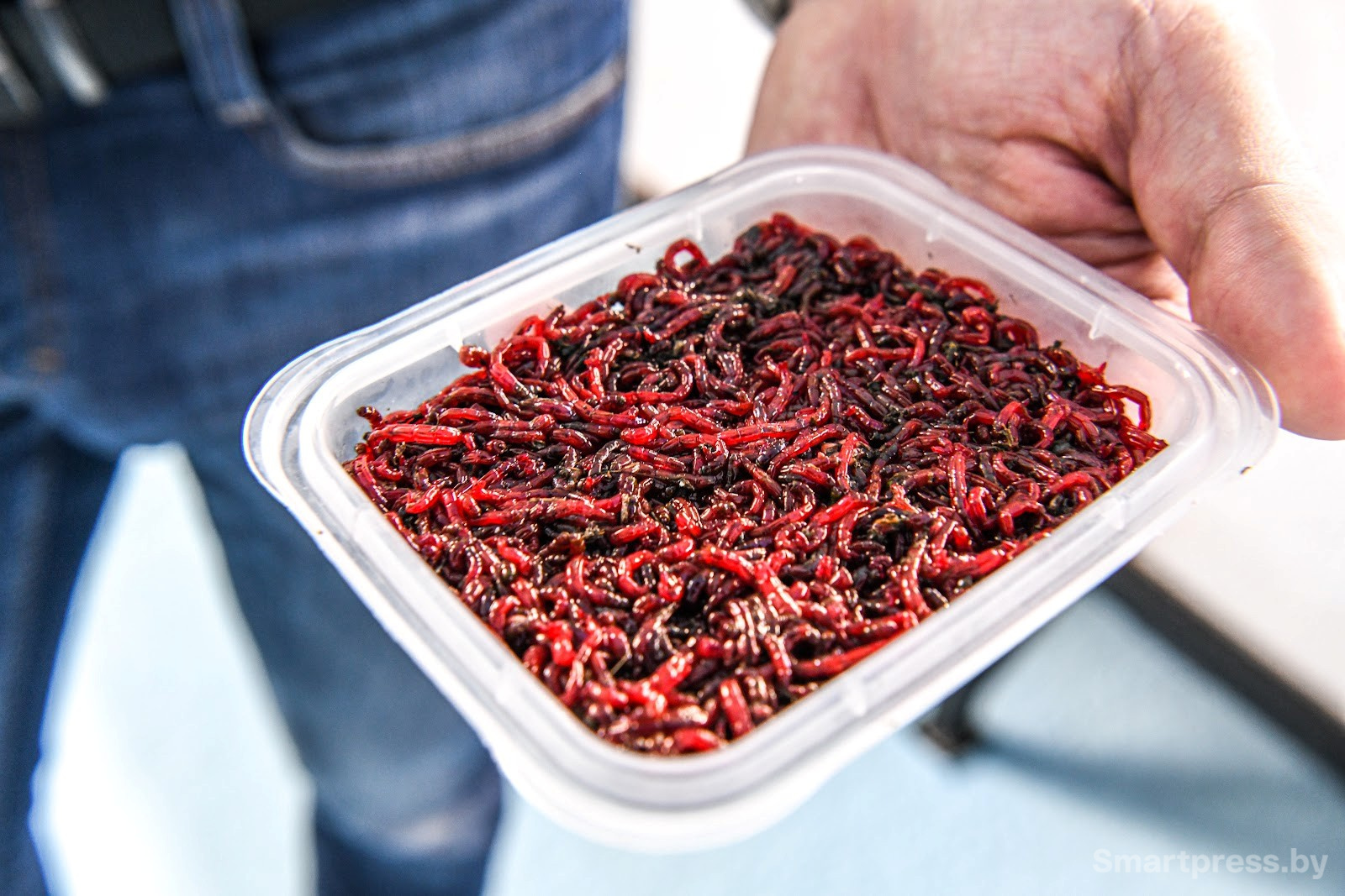 Креветочная ферма под Ляховичами 13.jpg