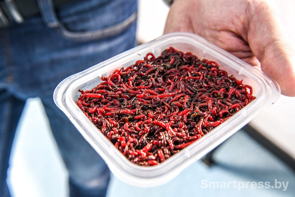 Креветочная ферма под Ляховичами 13.jpg