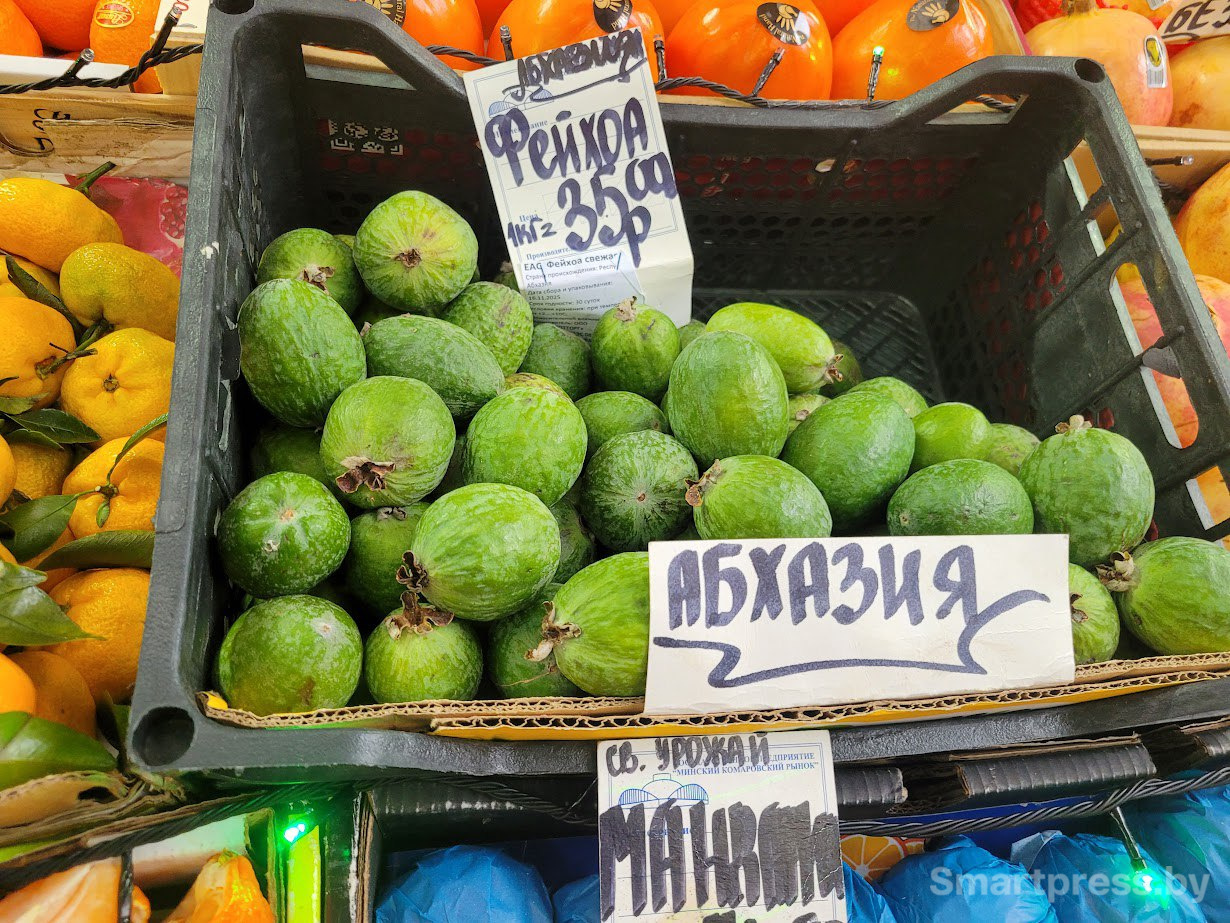 киви киви.jpg