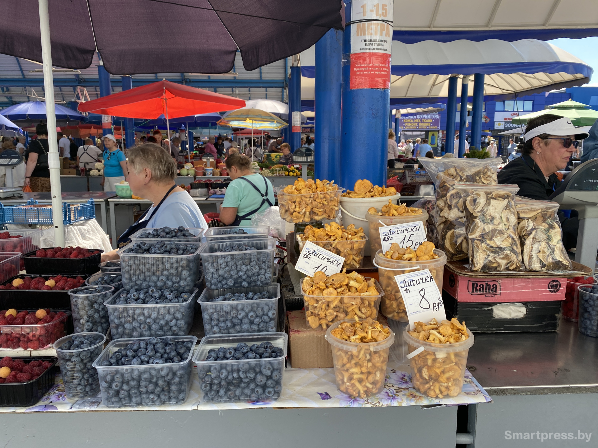 Дешевые лисички