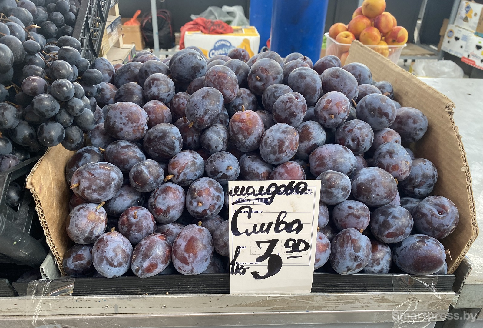 слива молдова по 3.90