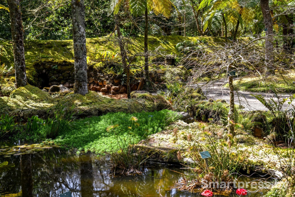 17-Парк Терра Ностра на острове Сан-Мигел.jpg