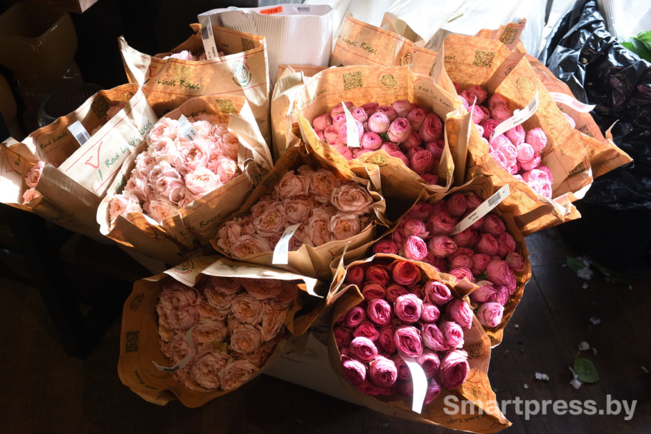 Vetka-Kvetka розы