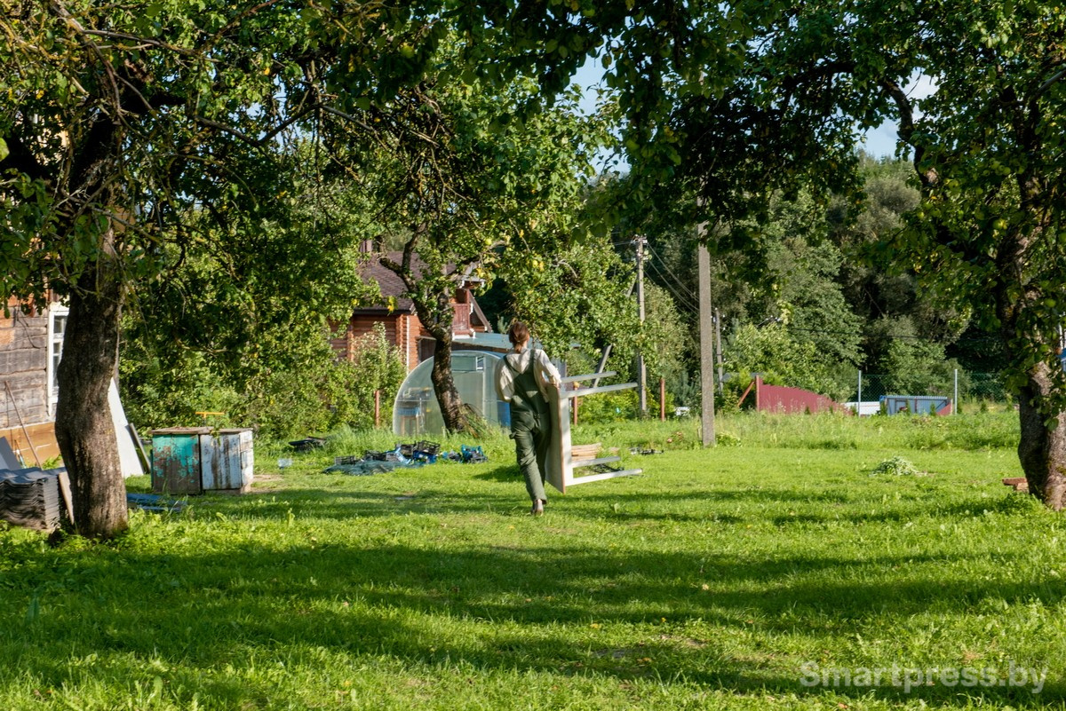 20-Яблони на участке.jpg