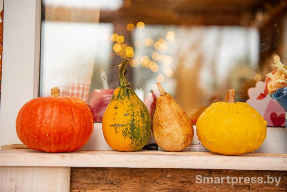 25-Тыквы на подоконнике.jpg