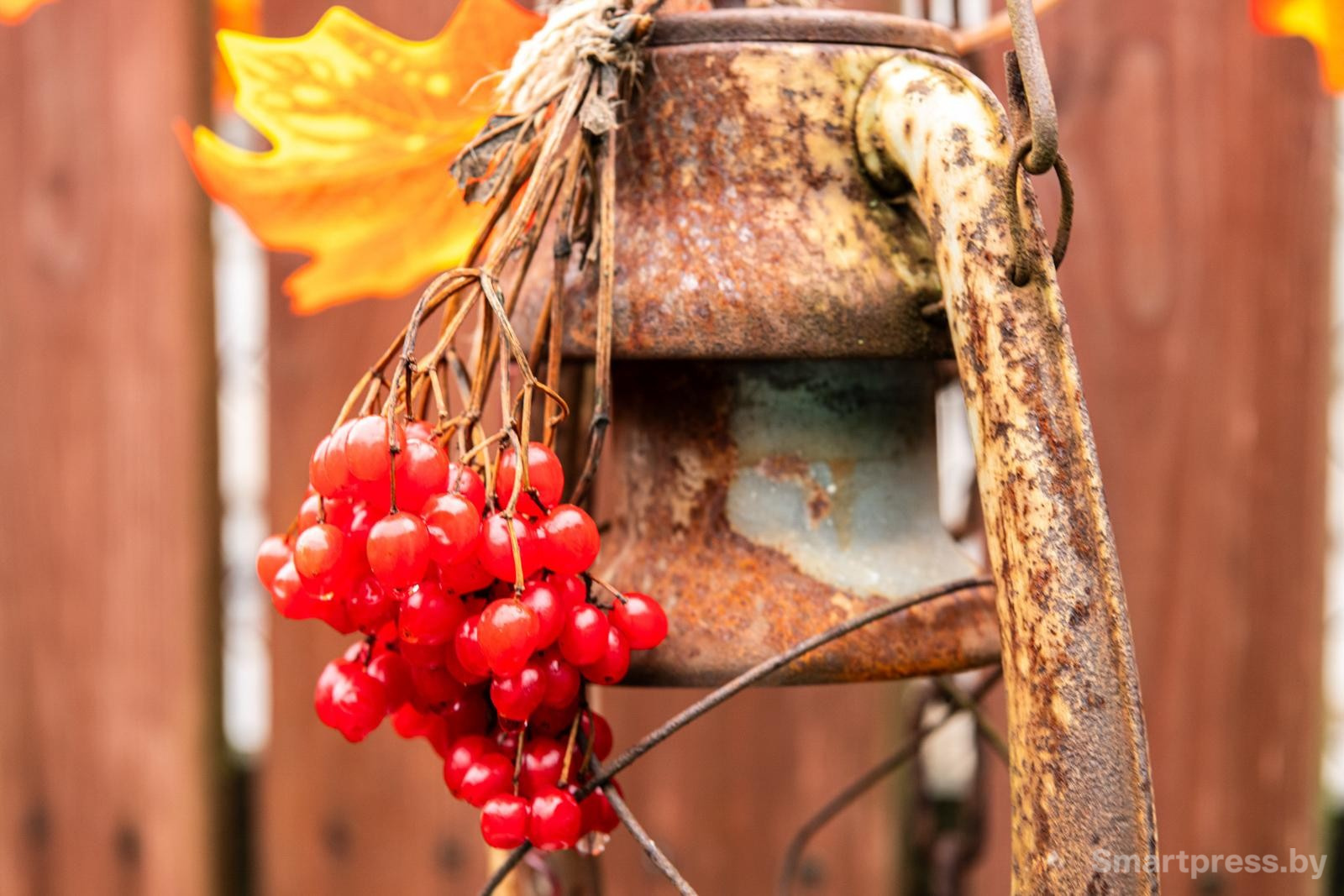 21-Антураж возле деревенского дома.jpg 21-Антураж возле деревенского дома.jpg