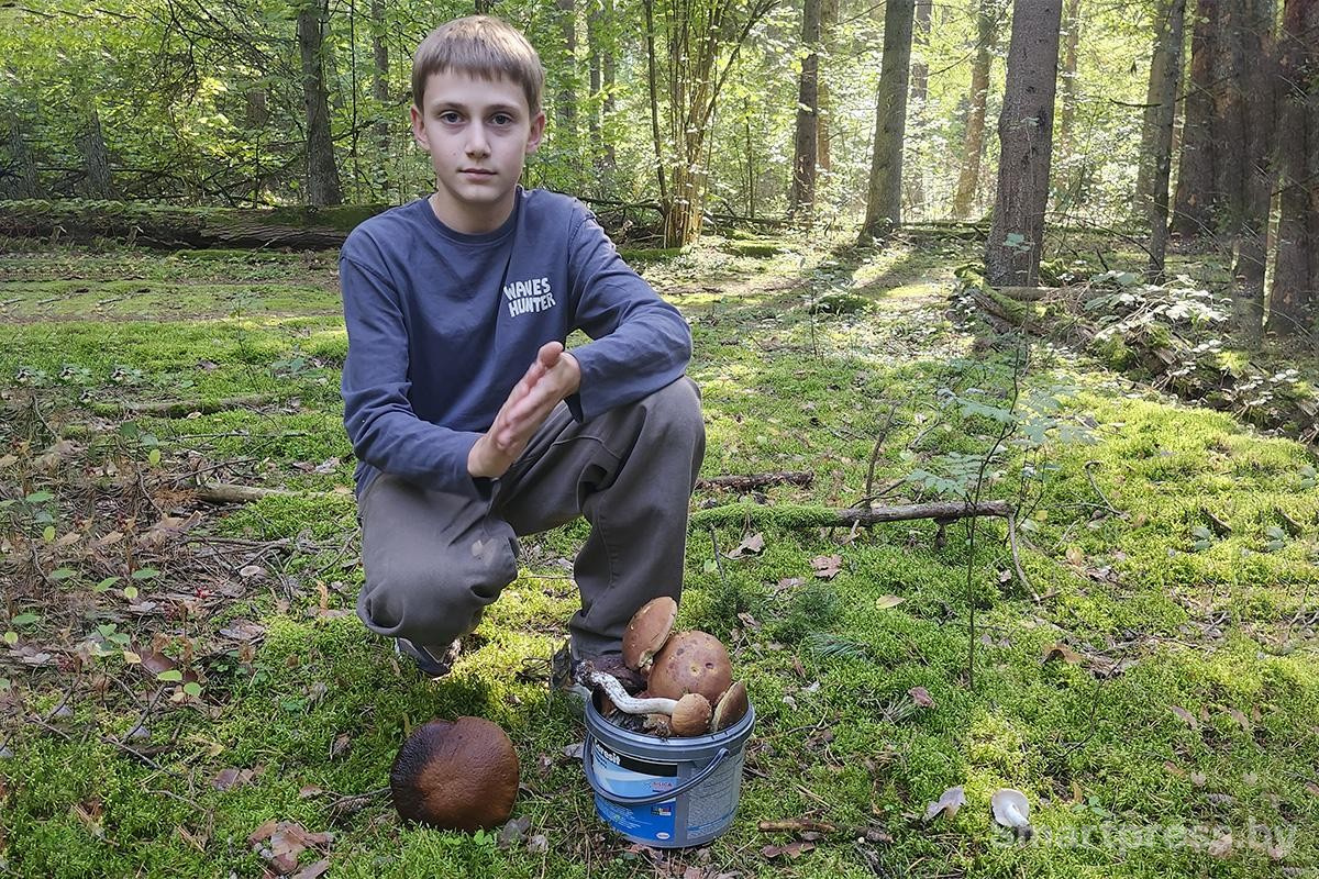 15-Леон часто ходит в лес за грибами.jpg