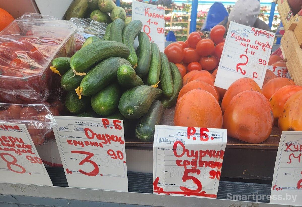 огурцы огурцы