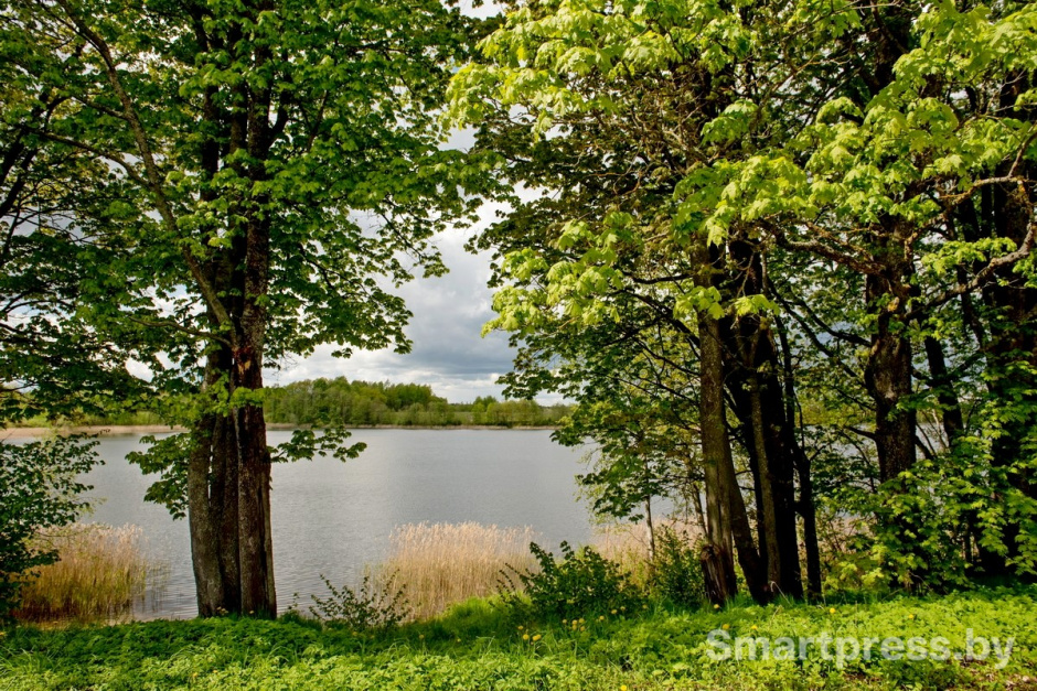 Семья из Израиля переехала жить в белорусскую деревню 24_Деревня Зябки.jpg