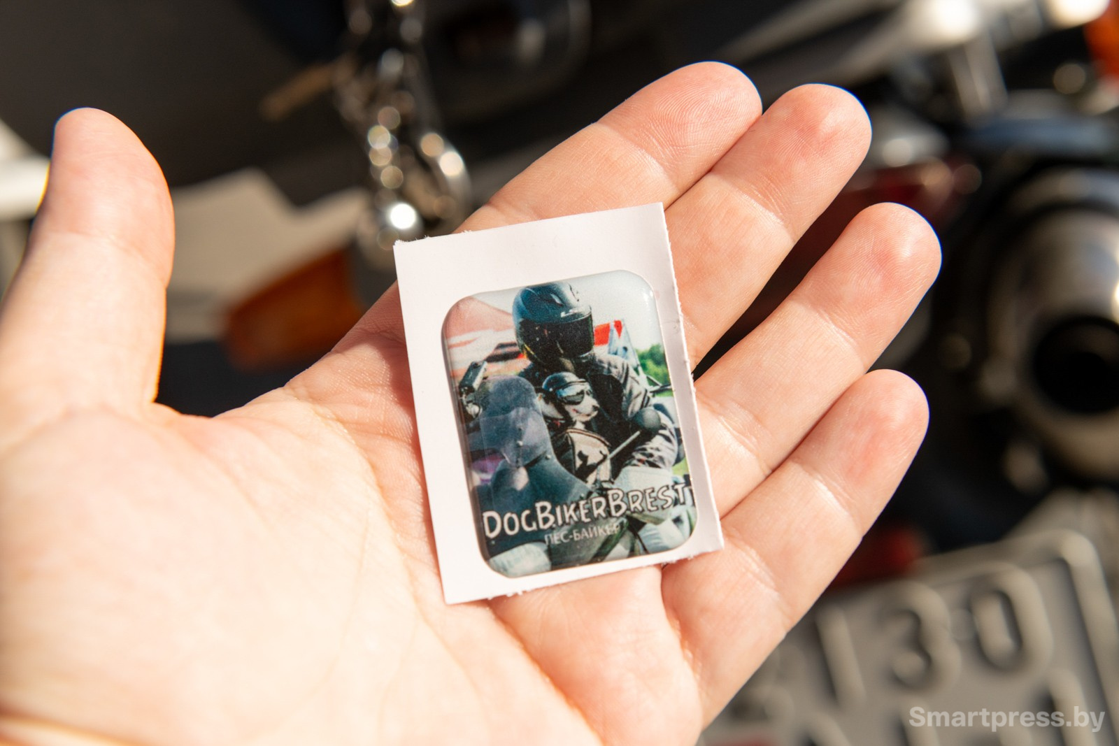 12-3D-стикер на телефон с изображением Дмитрия и Джеки.jpg