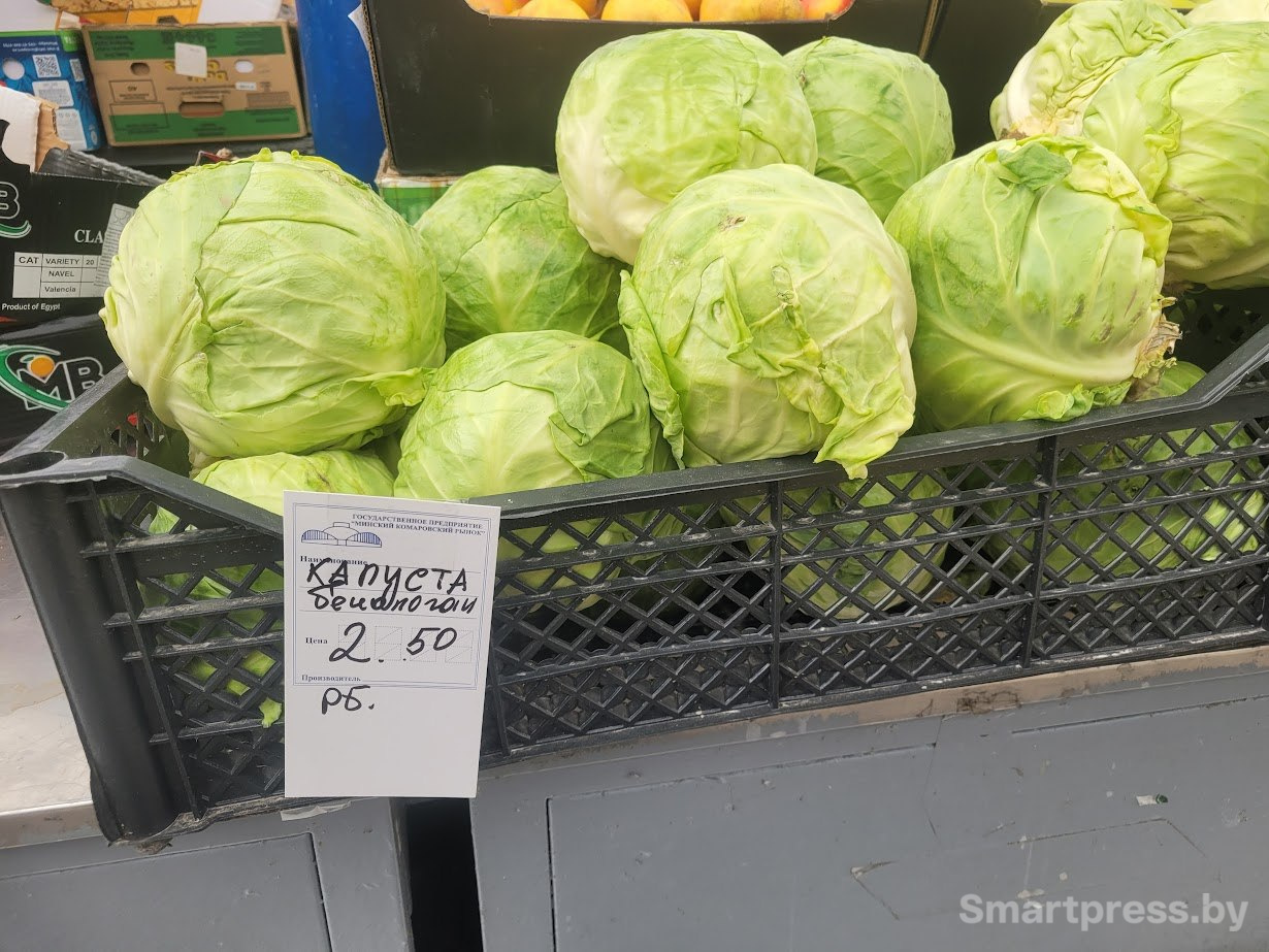 photo_2026-04-26_11-05-24 (8).jpg