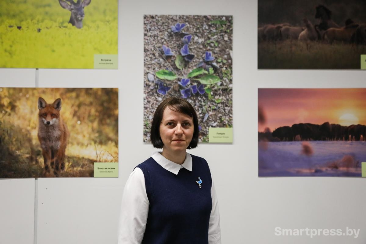 6-Фотограф Татьяна Корнилович на фоне снимка Лазурь с бабочками голубянками.jpg