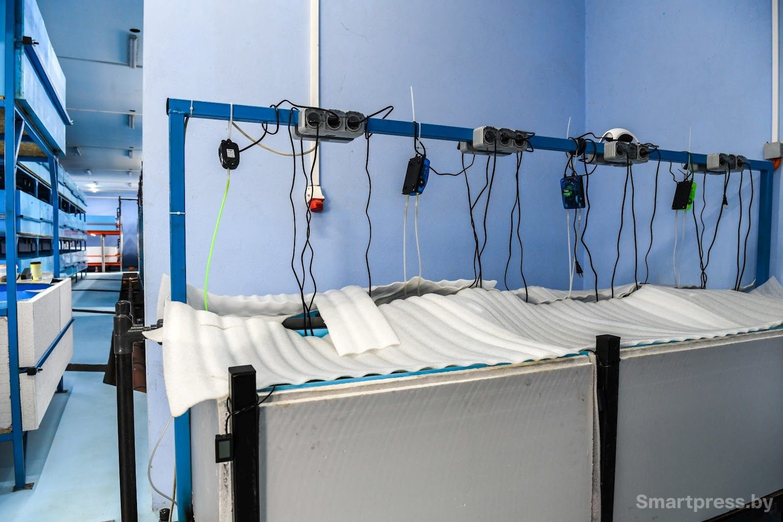 Креветочная ферма под Ляховичами 8.jpg