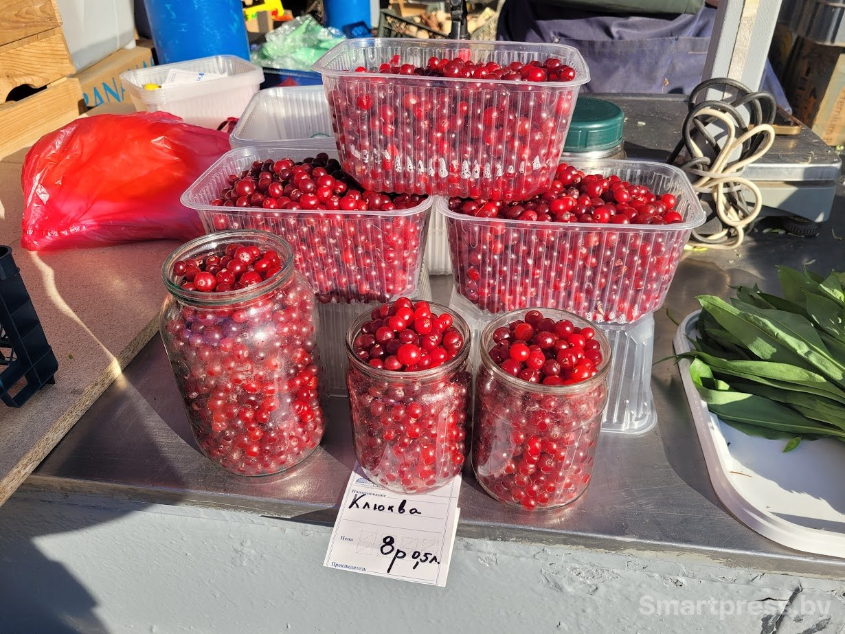 photo_2026-04-21_09-47-58 (2).jpg