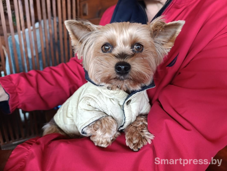 14-Алиса уже успела стать самым милым символом агроусадьбы.jpg