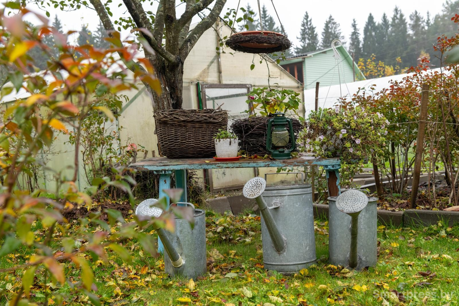 20-Локации для фотосессий возле деревенского дома.jpg