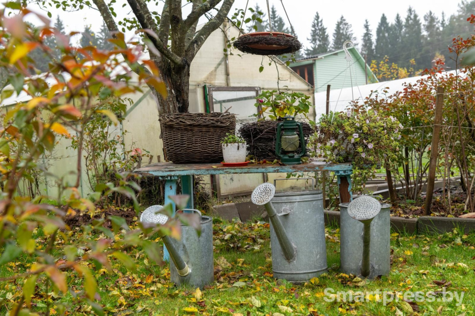 20-Локации для фотосессий возле деревенского дома.jpg