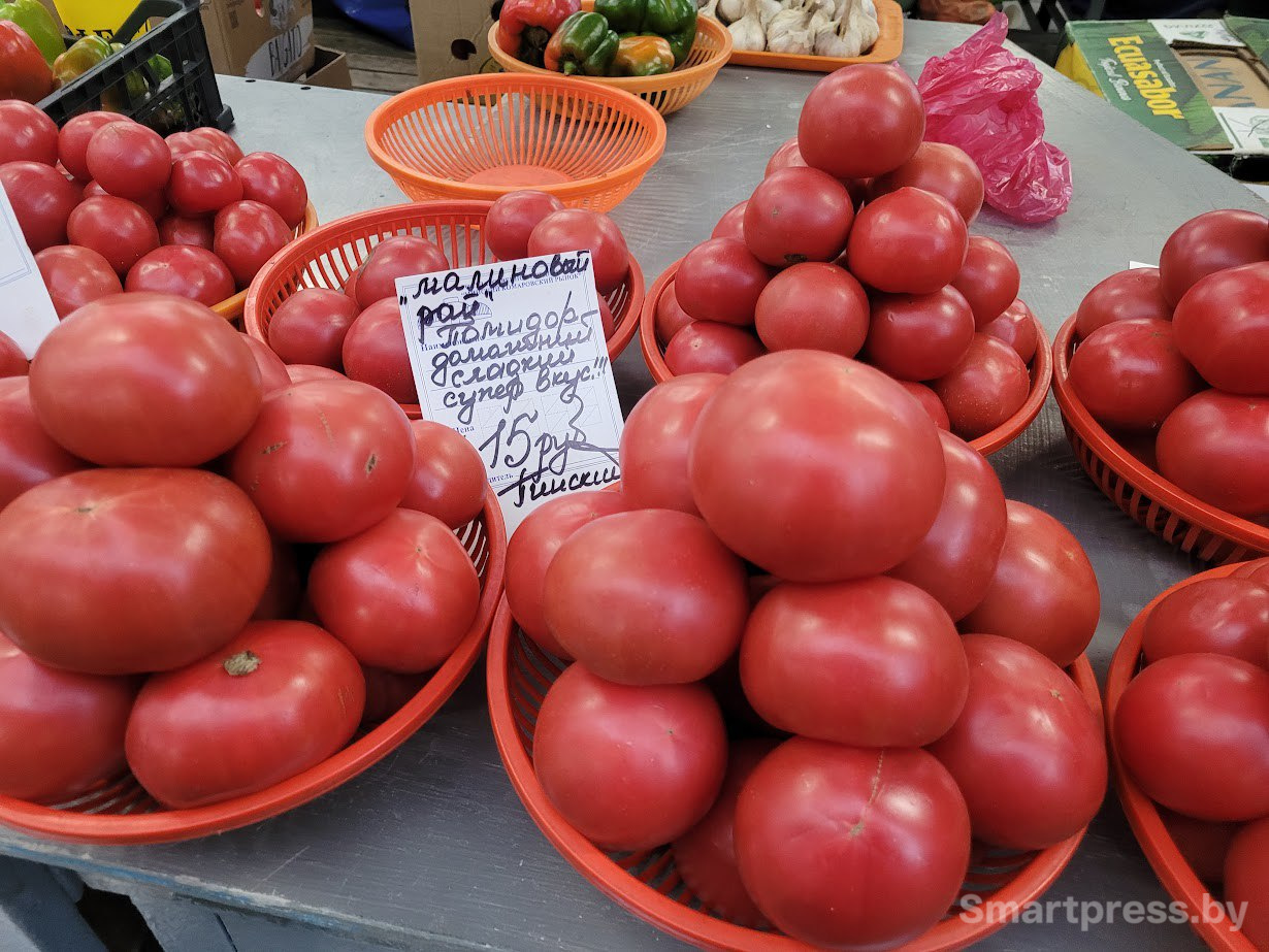помидоры