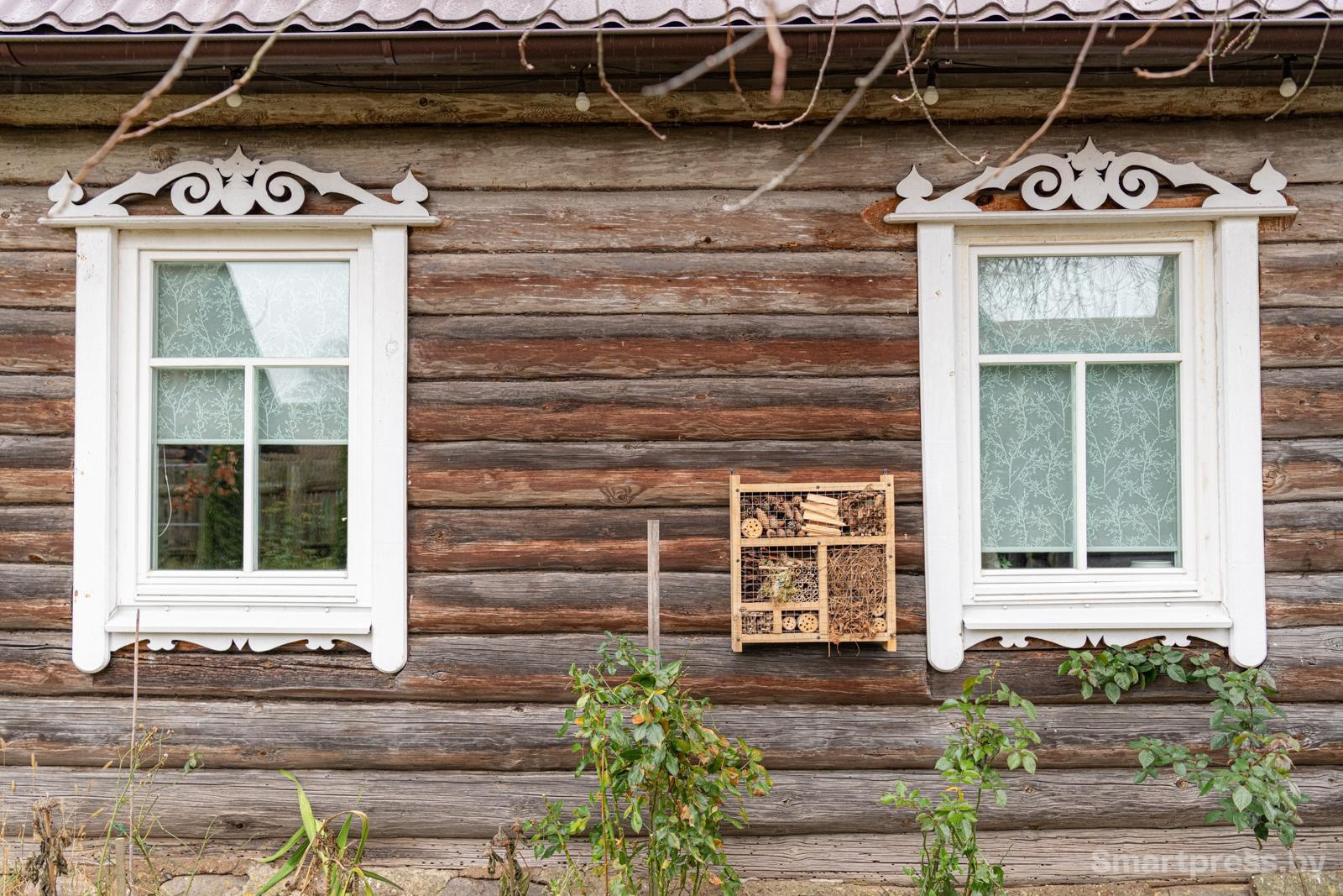 5-На стене дома можно заметить отель для насекомых.jpg