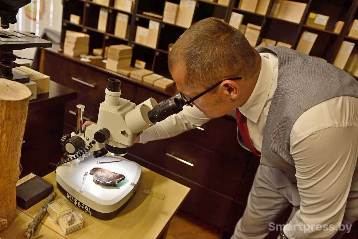 13-Исследование дерева под микроспоком.jpg