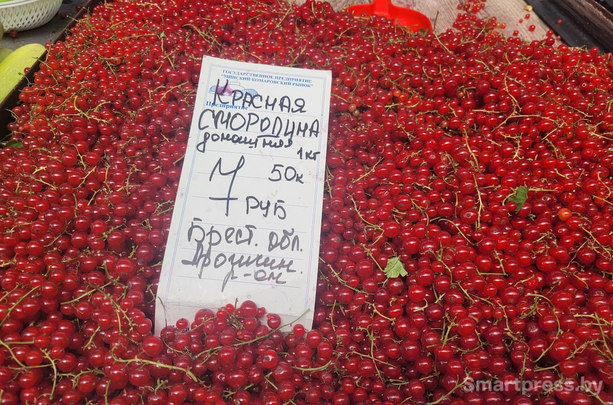 красная смородина по 7.50