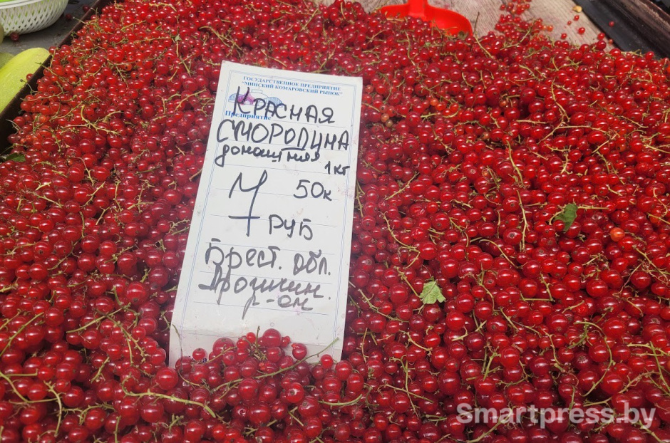 красная смородина по 7.50