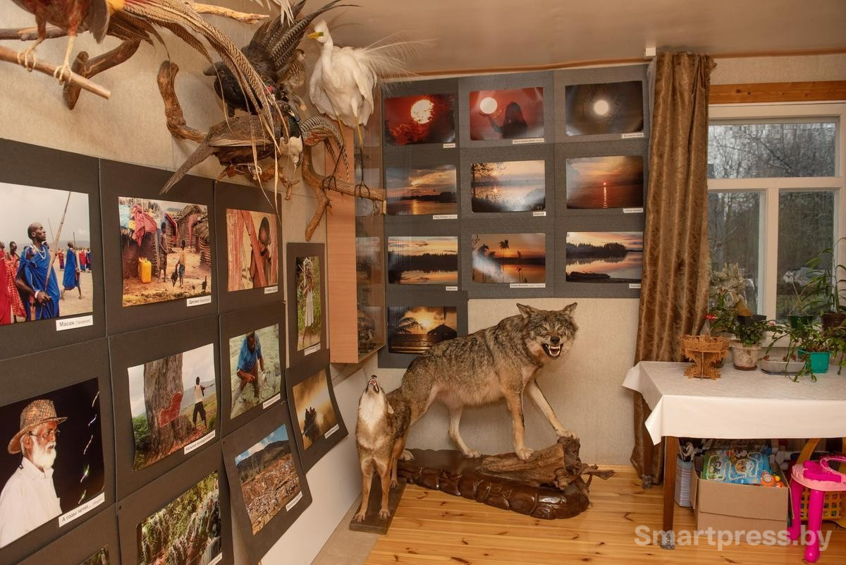 19-Фотографии и чучела занимают почти все пространство дома.jpg