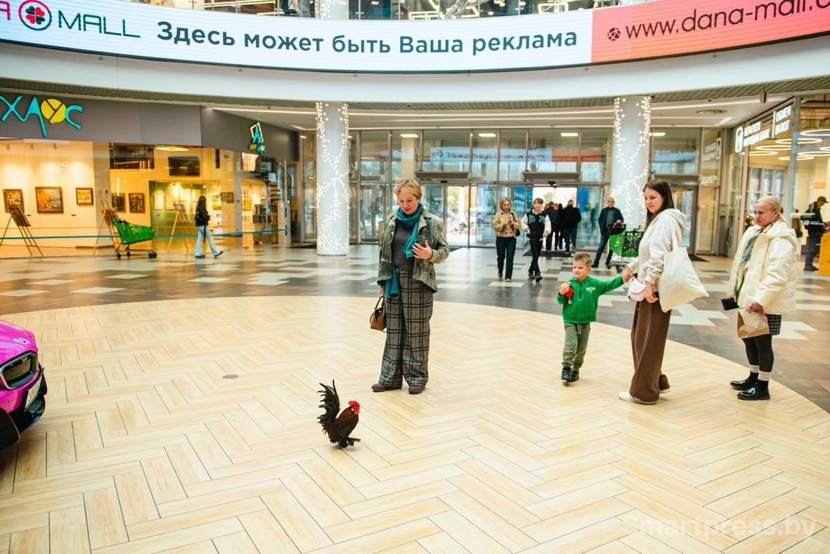 14-Шалопенье в торговом центре.jpg