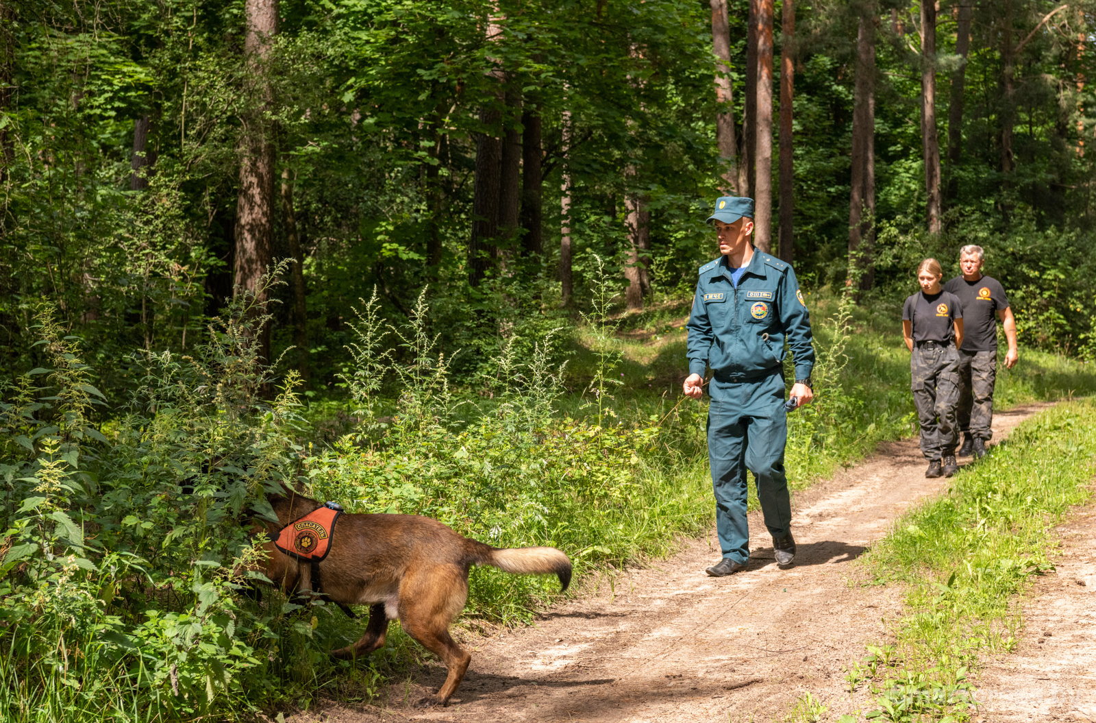 Кинологический центр "Из Кифы"