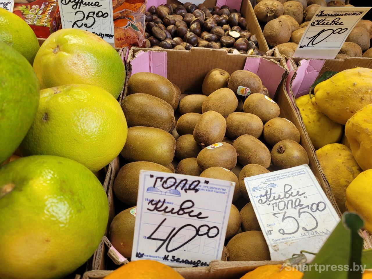 киви киви 2.jpg