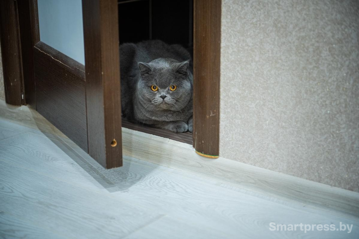 4-А вот Бакс сбежал от нас подальше только глаза торчат.jpg