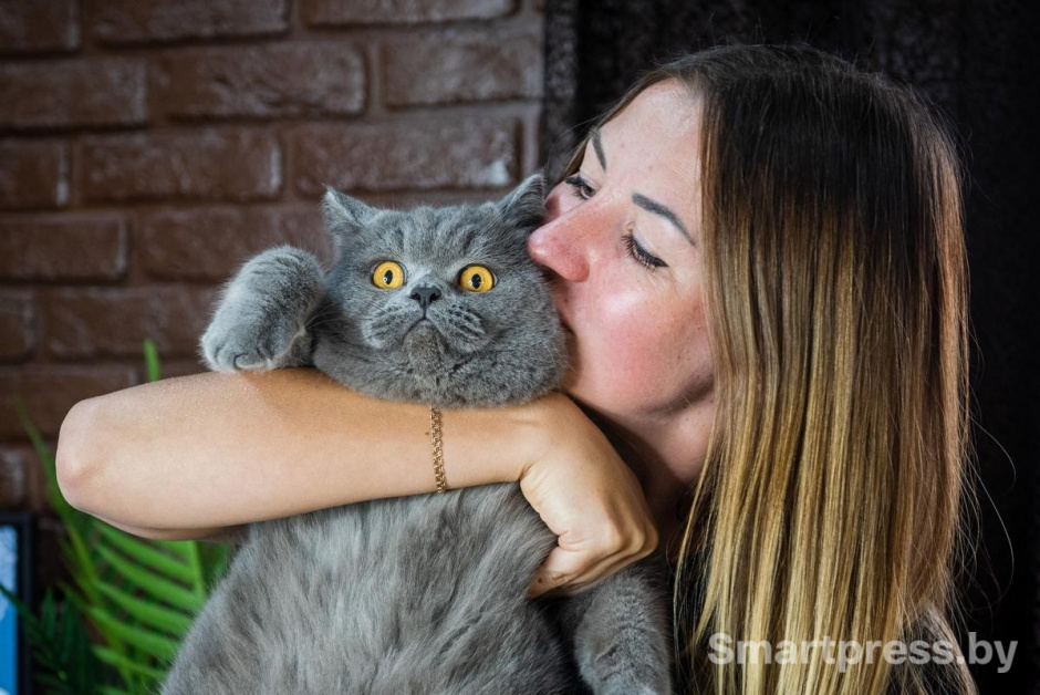 5-Бакс в объятиях хозяйки.jpg