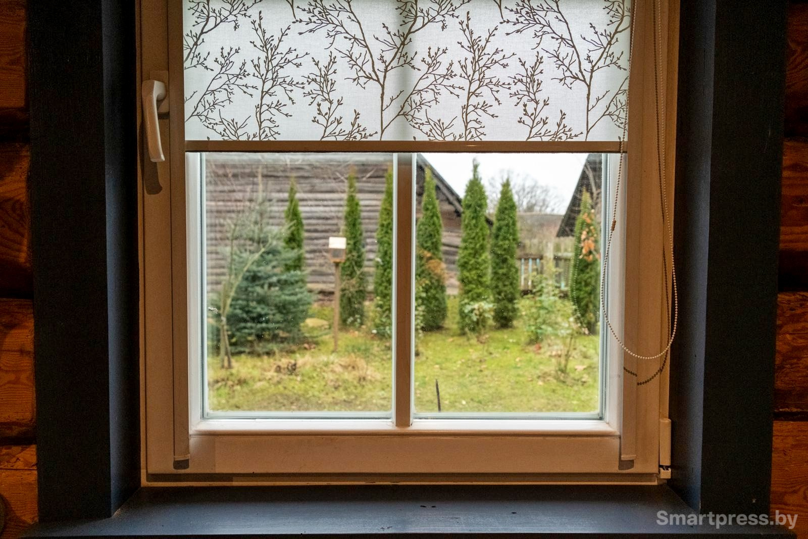 22-Вид из окна дома Романа.jpg