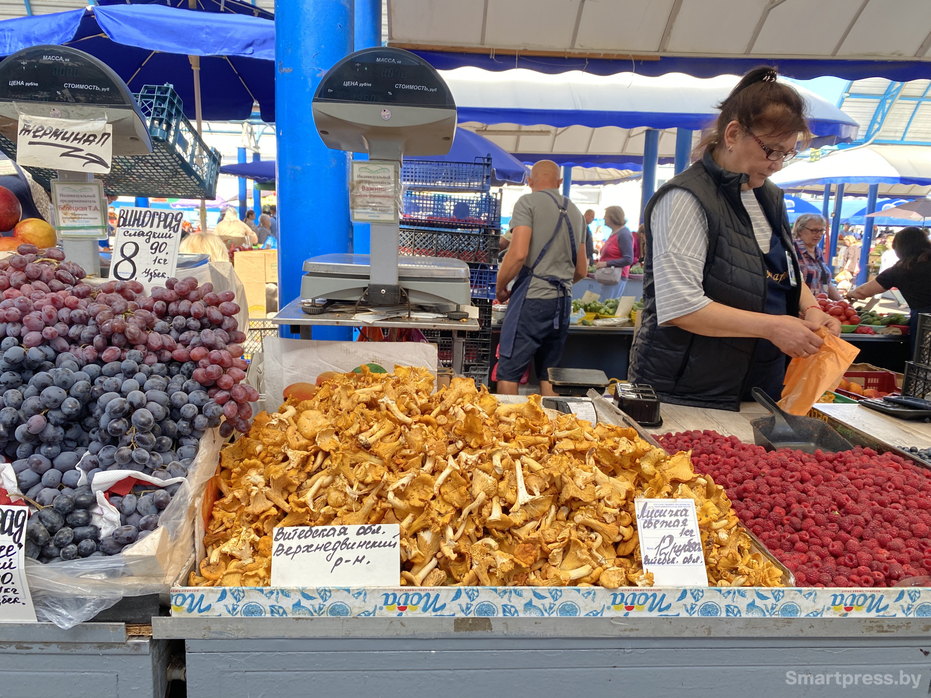 Лисички из Витебска