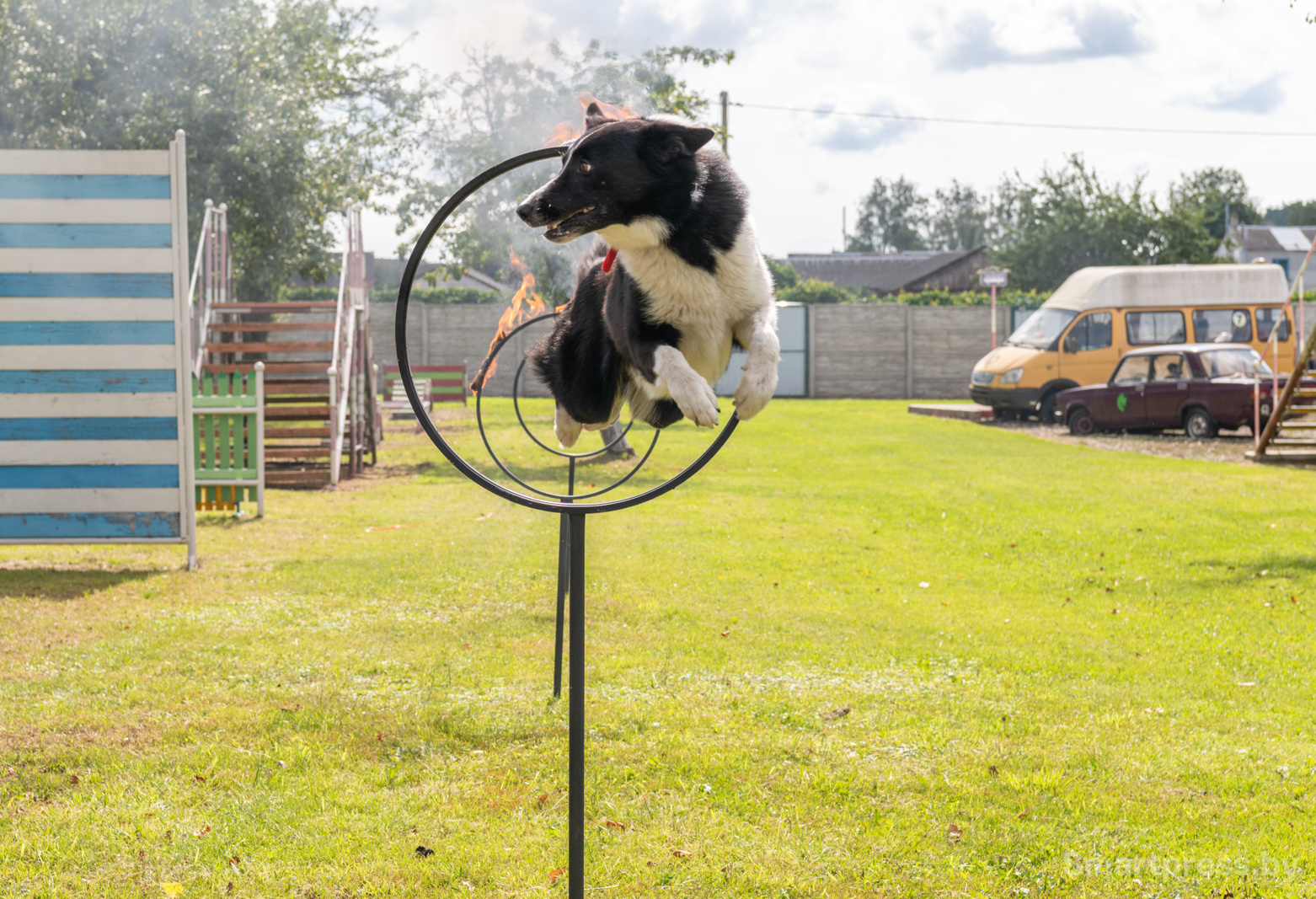 Кинологический центр "Из Кифы"