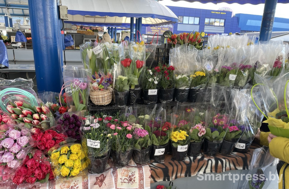 тюльпаны гвоздики тюльпаны гвоздики