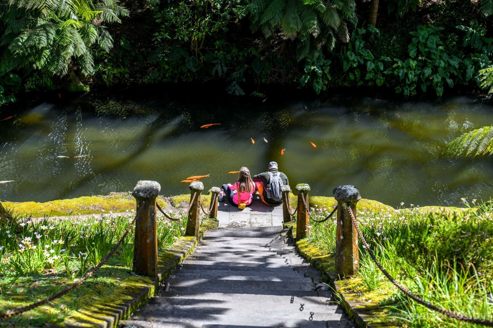 18-Парк Терра Ностра на острове Сан-Мигел.jpg
