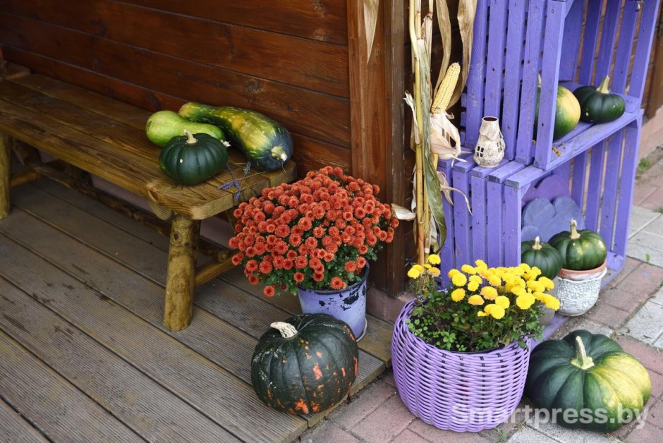 23-Убранство на участке семьи Гущенсковых.jpg