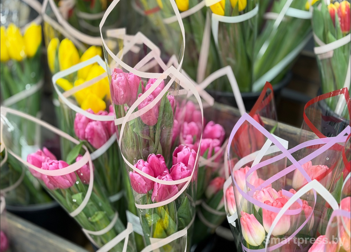 цветы-Корона-тюльпаны