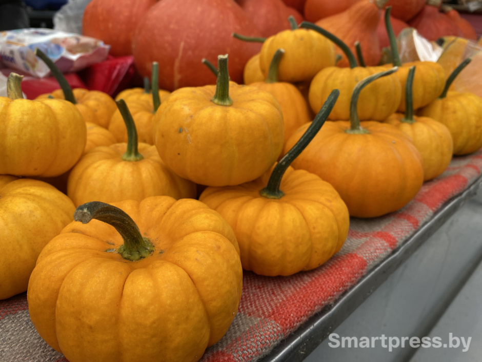 тыква декоративная