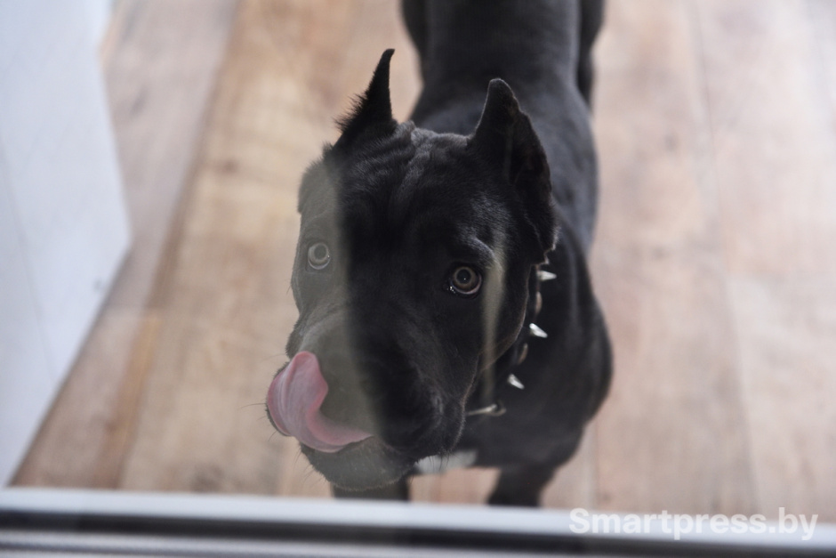 Аргентинец на хуторе