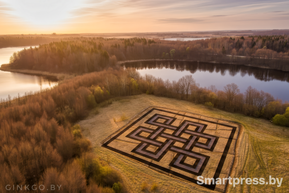 14-Визуализация проекта Гинкго-лабиринт с высоты птичьего полета.png