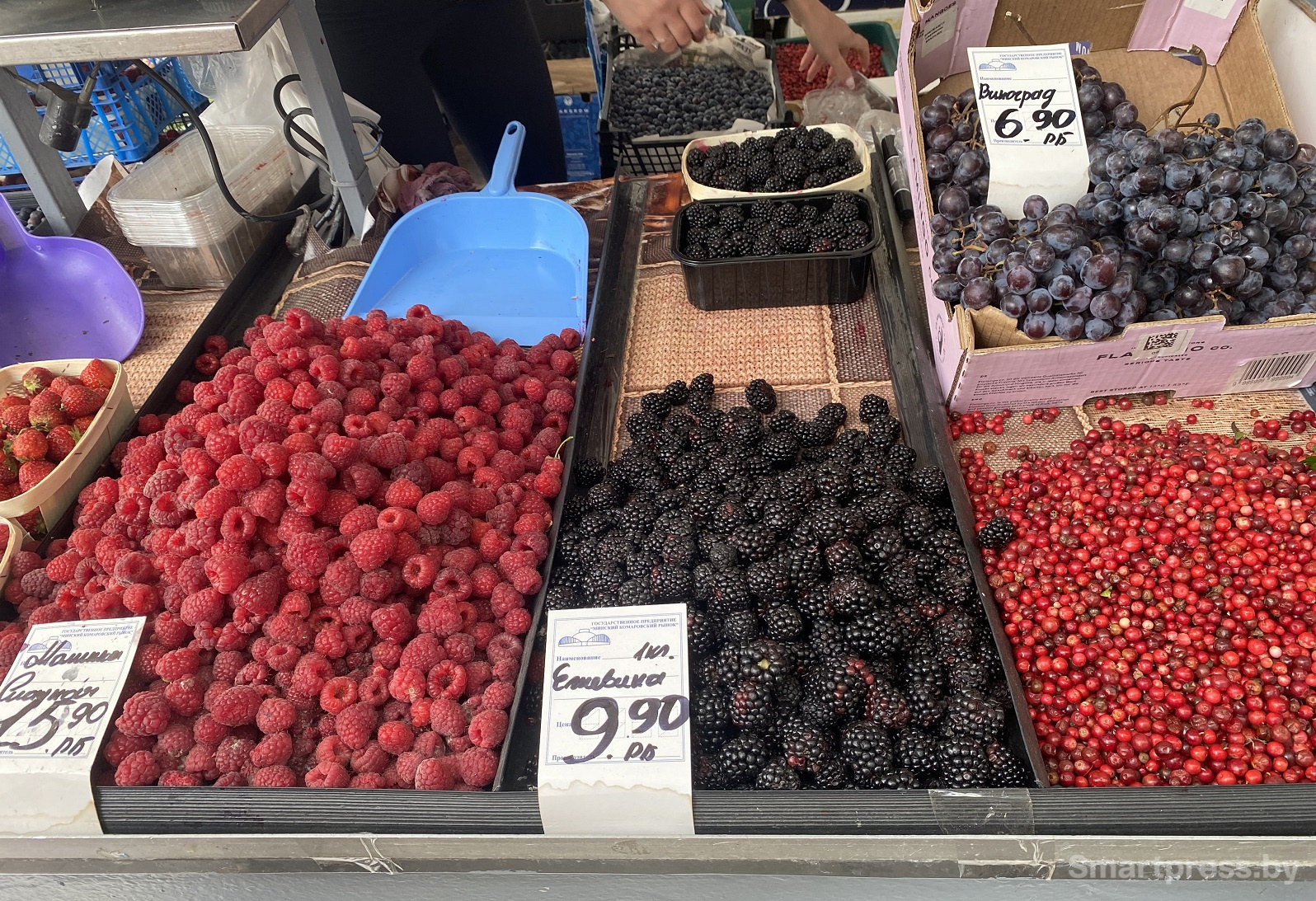 малина-ежевика