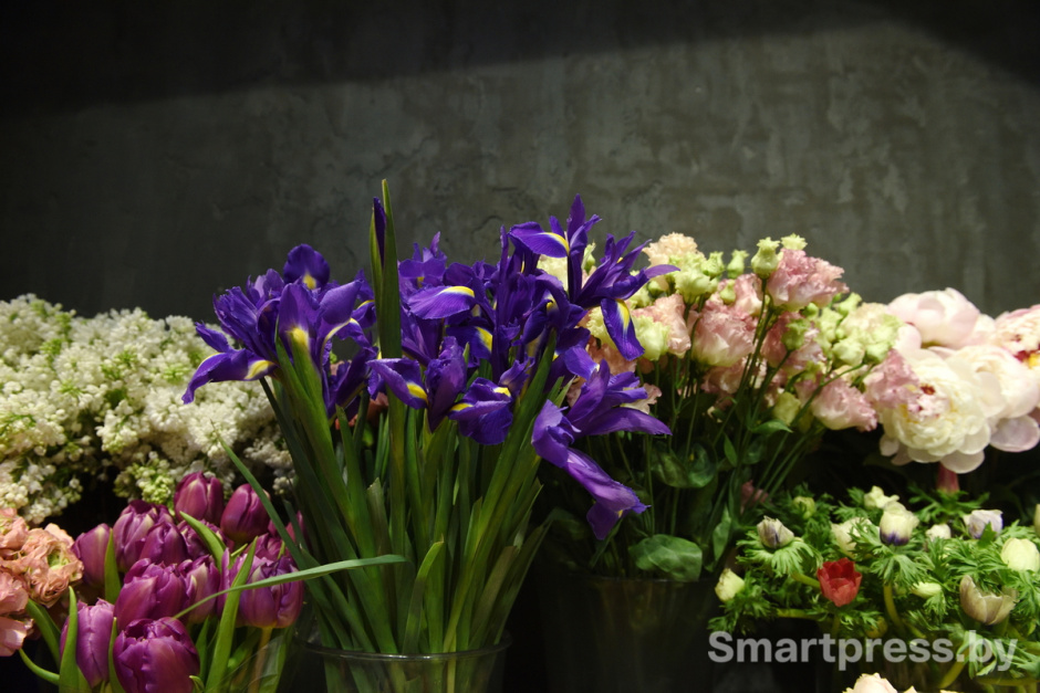Vetka-Kvetka Ирисы