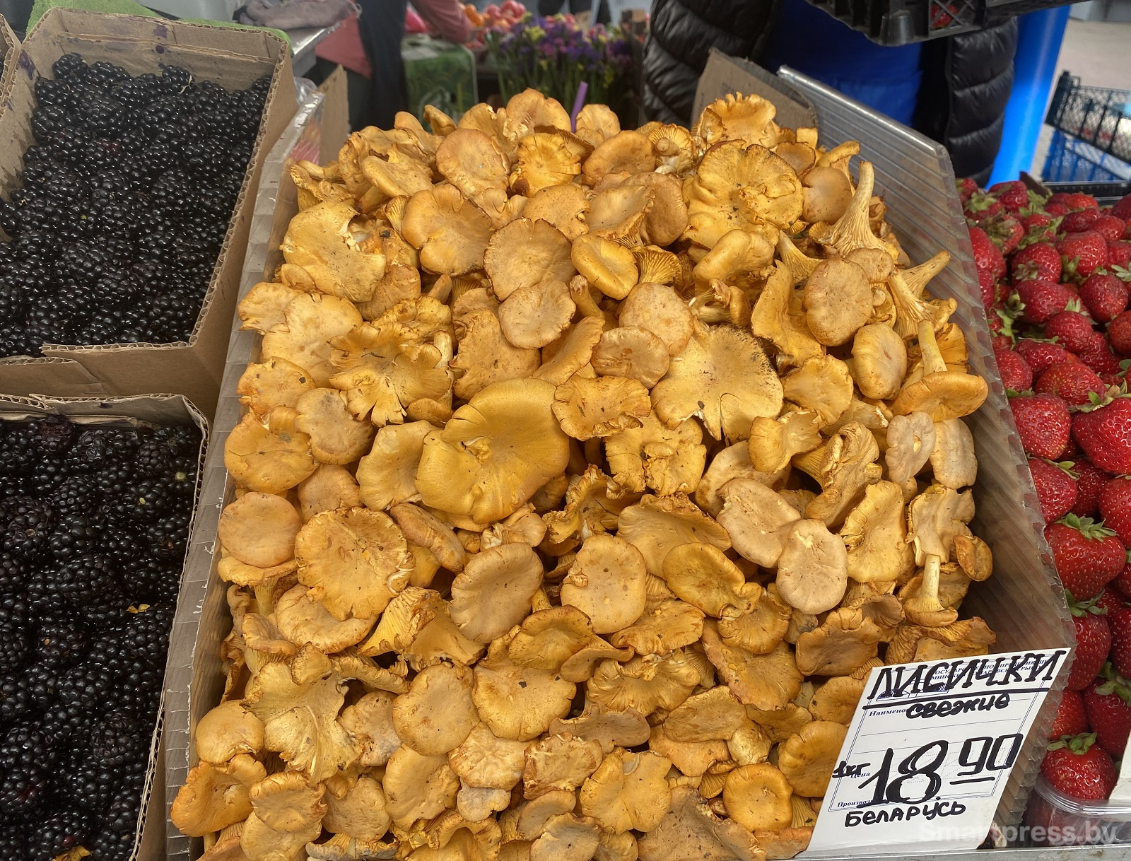 лисичка по 18.90