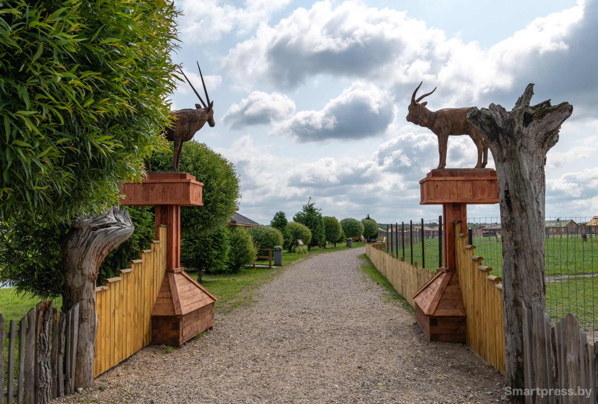 Долина антилоп.jpg